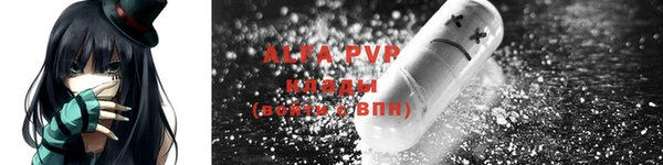 ешки Бородино
