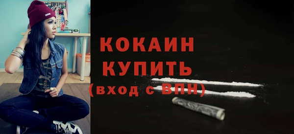 ешки Бородино