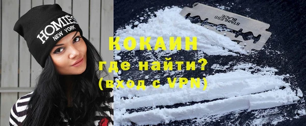 ешки Бородино