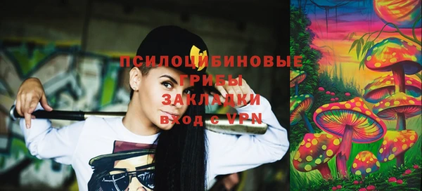ешки Бородино
