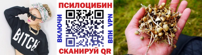 Псилоцибиновые грибы MAGIC MUSHROOMS Астрахань